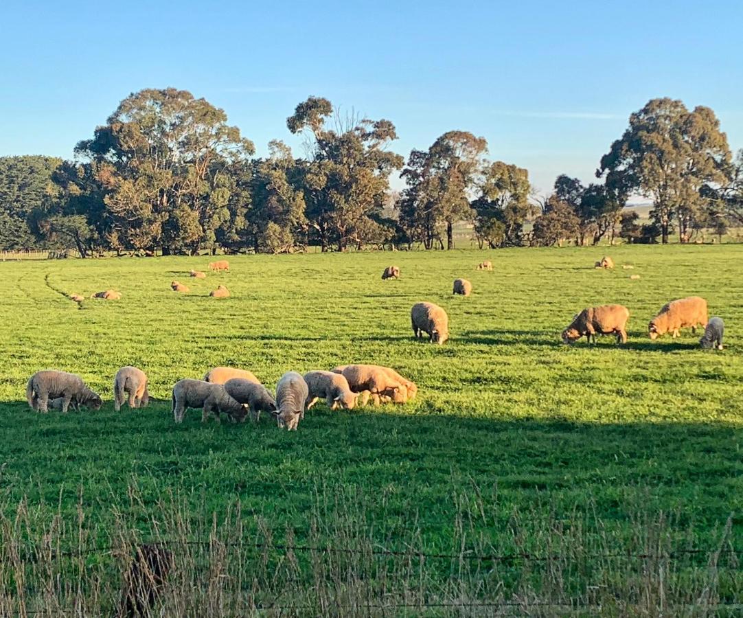 The Lancefield Lodge Lance Field Exterior photo